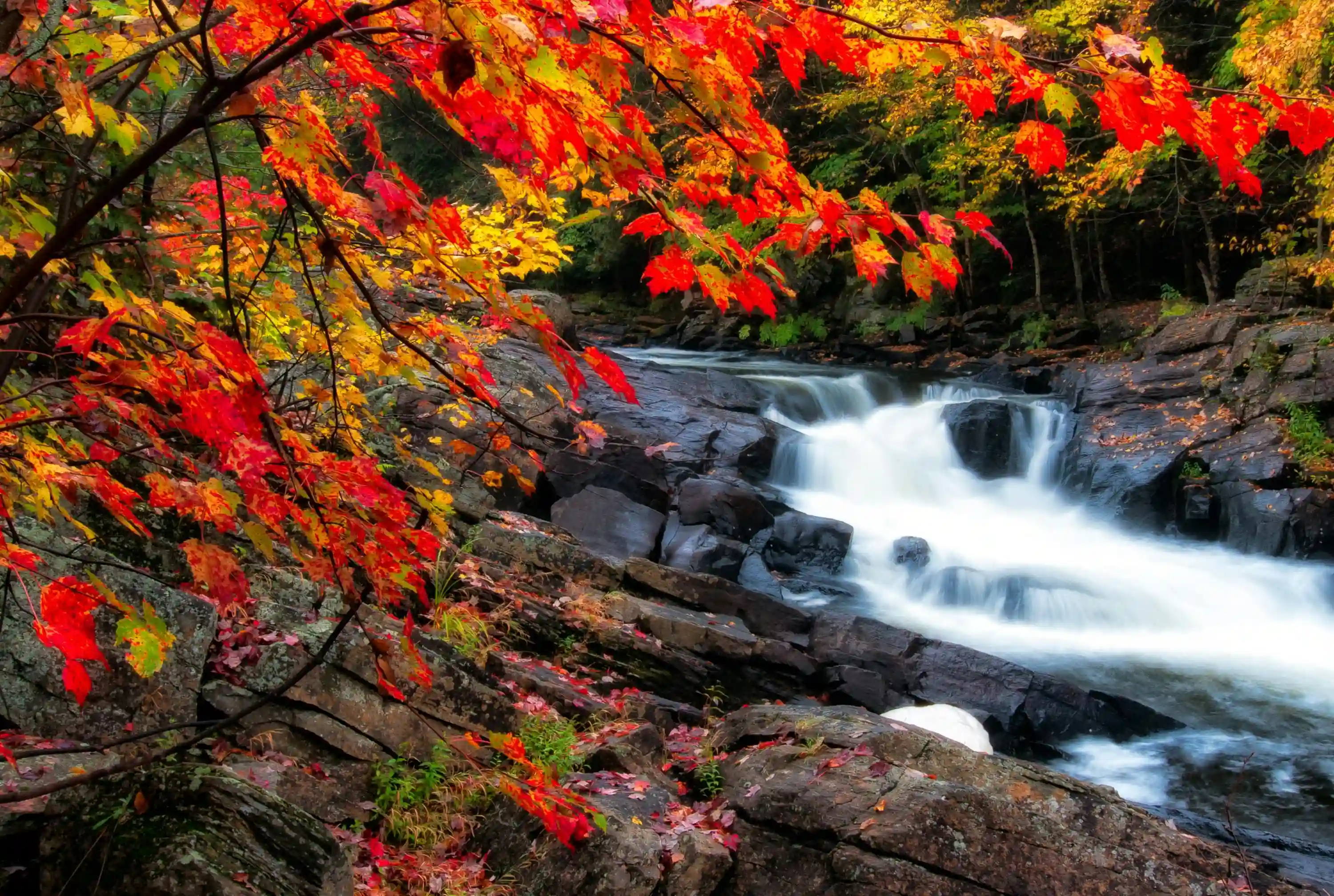 Canada Seasons